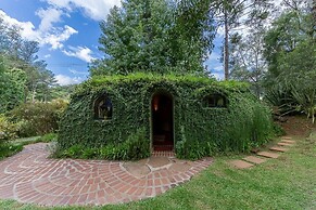 Sítio Cogumelos Montanhês