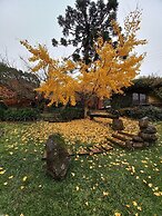 Sítio Cogumelos Montanhês