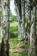 Sítio Cogumelos Montanhês