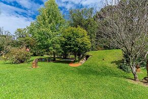 Sítio Cogumelos Montanhês