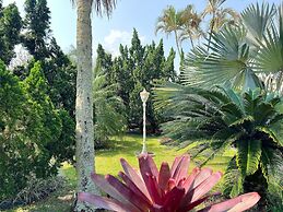 150m Praia -Ar condicionado -Petfriendly