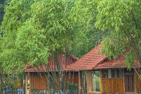 Lotus Field Homestay