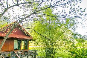 Lotus Field Homestay
