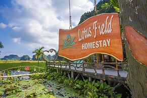Lotus Field Homestay