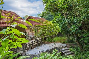 Lotus Field Homestay