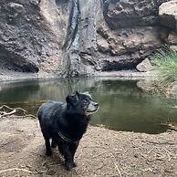 Alojamientos Charco Azul