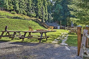 Deep Gap Cabin w/ 2 Decks & Community Amenities!