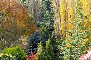 Magical Lucindale - 4 Bedroom House