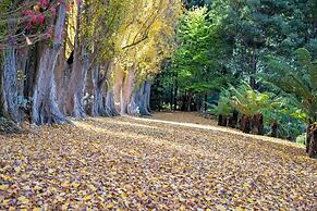 Magical Lucindale - 4 Bedroom House