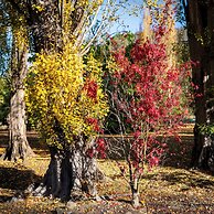 Magical Lucindale - 4 Bedroom House