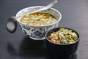 MIYAZAKI MANGO HOTEL