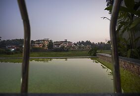 Apricus Brisa Marina