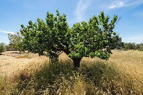 Angeli nel Salento Country House