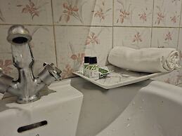 Seven Hills Hotel Srinagar