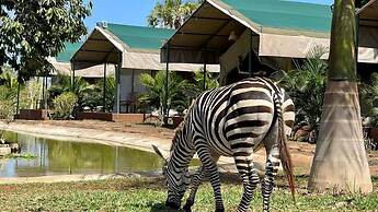 Borabora Luxury Tented Camp