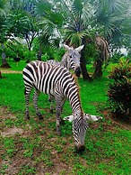 Borabora Luxury Tented Camp