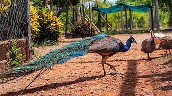 Borabora Luxury Tented Camp