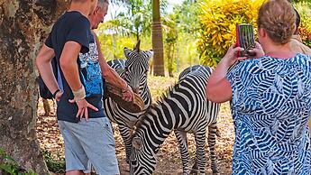 Borabora Luxury Tented Camp