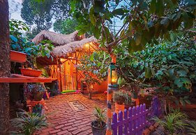 Evergreen County - India's First Adventure Veg Retreat in Coorg