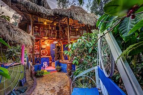 Evergreen County - India's First Adventure Veg Retreat in Coorg