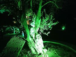 Sweet Home Apartments