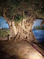 Sweet Home Apartments