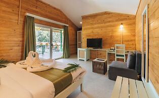 Stone Wood Jungle Resort