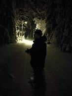 Hotelli Immalanjärvi