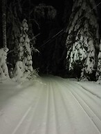 Hotelli Immalanjärvi