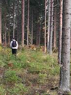 Hotelli Immalanjärvi