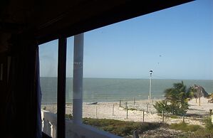 Flamingo Guest House Celestún