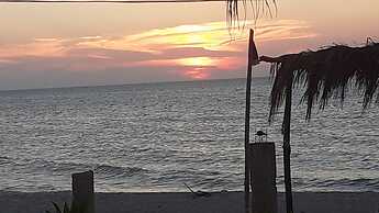 Flamingo Guest House Celestún