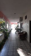 Flamingo Guest House Celestún