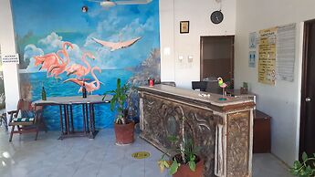 Flamingo Guest House Celestún
