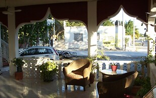 Flamingo Guest House Celestún