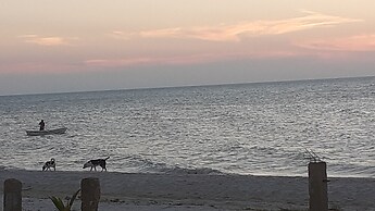 Flamingo Guest House Celestún