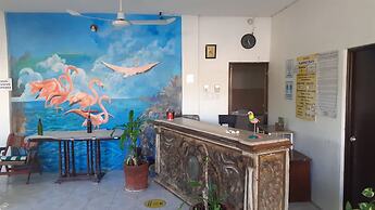 Flamingo Guest House Celestún