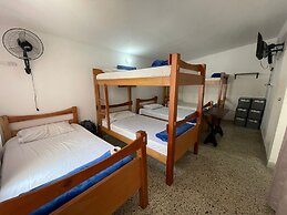 ABSOLUTE HOTEL & HOSTEL BOUTIQUE