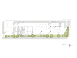 tanegashimaArakibekkan