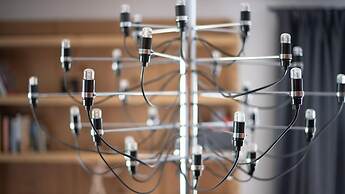 Dei Sana 8 - Orso in Turri Piano