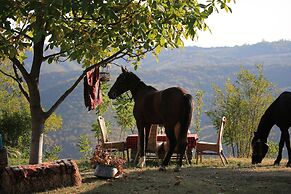 Lost Ridge Inn & Brewery & Ranch