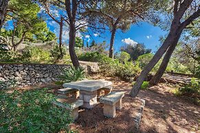 3677 Trullo Foresta Forte by Barbarhouse