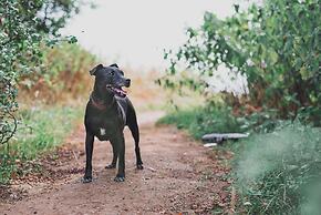Railway Station Cottage