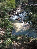 hostal las mariposas minca