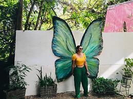 hostal las mariposas minca