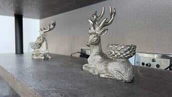 Modern Oasis / Central Location