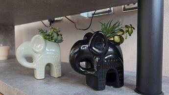 Modern Oasis / Central Location