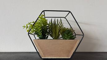 Modern Oasis / Central Location