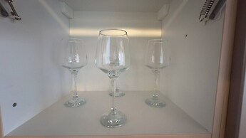 Modern Oasis / Central Location