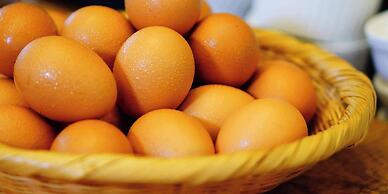 Glamping Villa HANZ Kawaguchiko